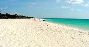 アルバ. Author Warner Hocker