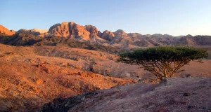 沙漠，約旦. Author Javier Losa