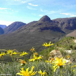 Cederberg, Südafrika. Autor und Copyright Marco Ramerini ...