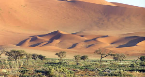 Namib Desert, Namib-Naukluft, Namibia. Author and Copyright Marco Ramerini..