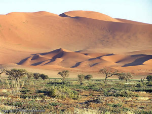 Namib Desert, Namib-Naukluft, Namibia. Author and Copyright Marco Ramerini..