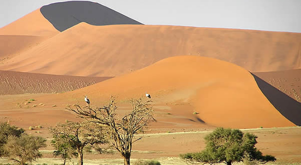 Namib Desert, Namib-Naukluft, Namibia. Author and Copyright Marco Ramerini..