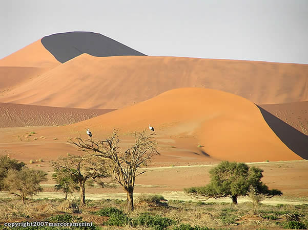 Namib Desert, Namib-Naukluft, Namibia. Author and Copyright Marco Ramerini..