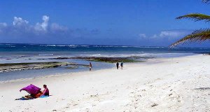 ディアニビーチ、モンバサ、ケニア. Author Cristopher T Cooper