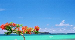 モーリシャス. Author Subzi73