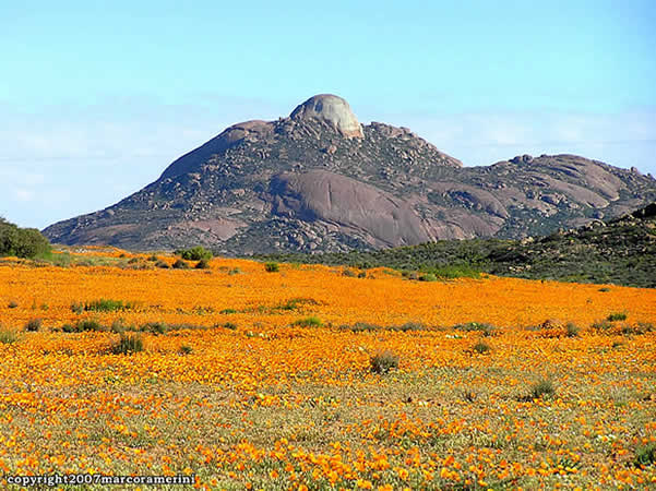 Namaqualand, Südafrika. Autor Marco Ramerini