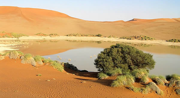 Sossusvlei, Namib Desert, Namib-Naukluft, Namibia. Author and Copyright Marco Ramerini