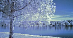 Rovaniemi, Finland. Author Tarja Ryhannen Mitrovic. Licensed under the Creative Commons Attribution..