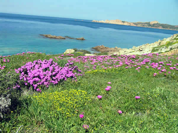 Isola Rossa, Sardinia, Italy. Author and Copyright Marco Ramerini