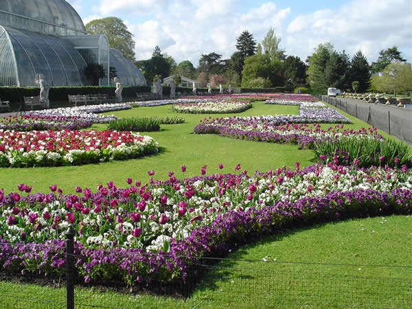 Kew Royal Botanic Gardens, London, United Kingdom. Author and Copyright Marco Ramerini