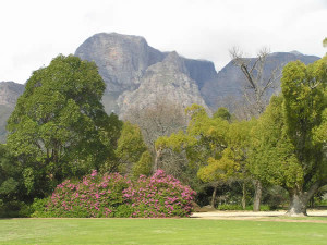 Boschendal, Franschhoek, Südafrika. Autor und Copyright Marco Ramerini.