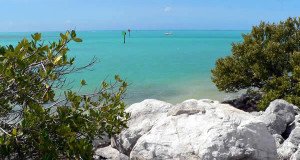 Florida Keys, Florida, United States. Author Stig Nygaard. Licensed under the Creative Commons Attribution