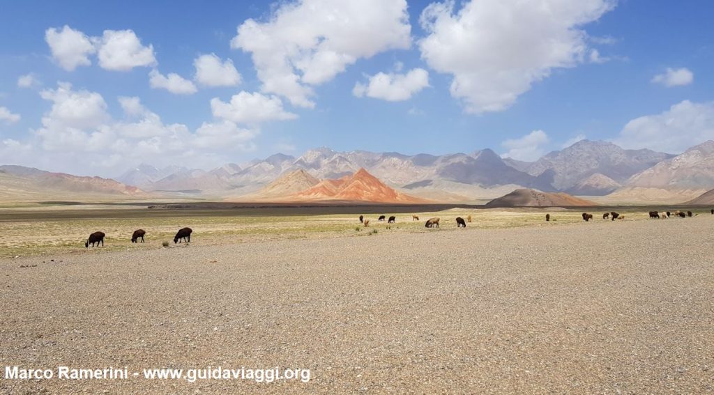 Tiere, die nach der Grenze zwischen Kirgisistan und China weiden lassen. Autor und Copyright Marco Ramerini