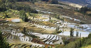 The natural landscapes are among the tourist attractions of Yunnan, here the Rice fields, Yuanyang, Yunnan, China. Author and Copyright Marco Ramerini