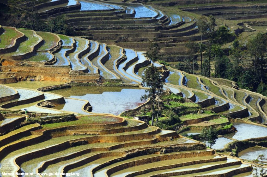 Rice paddies, Yuanyang, Yunnan, China. Author and Copyright Marco Ramerini ..