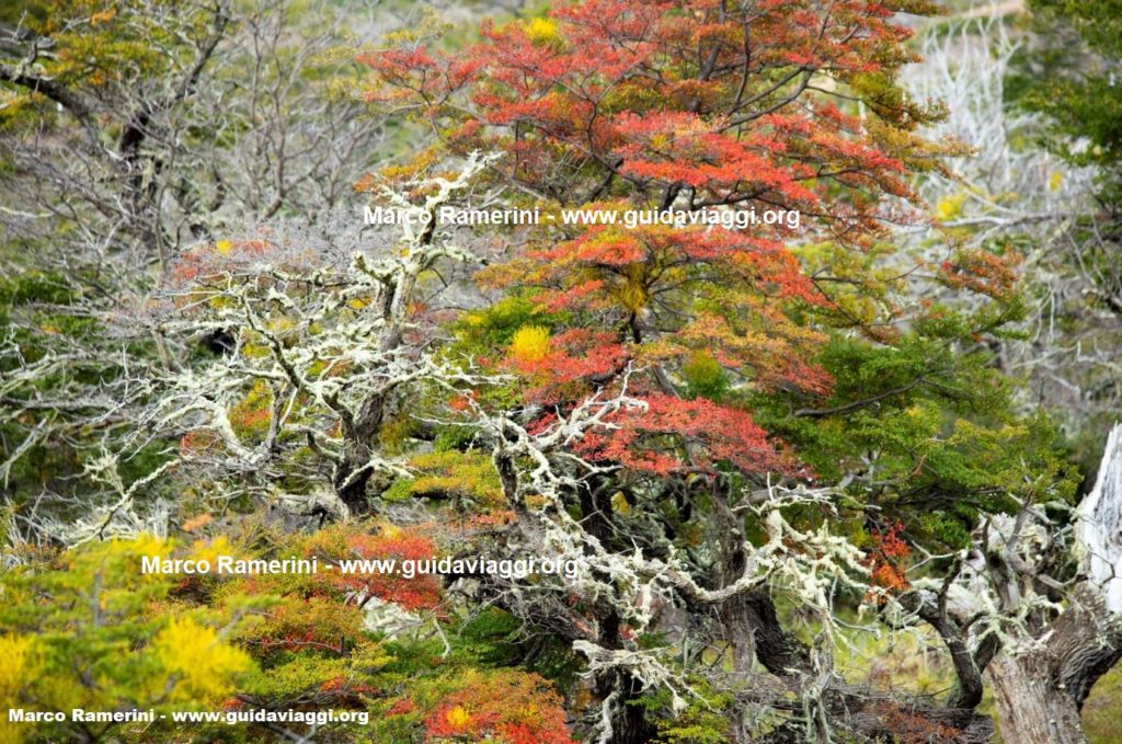 Serrano, Torres del Paine National Park, Chile. Author and Copyright Marco Ramerini