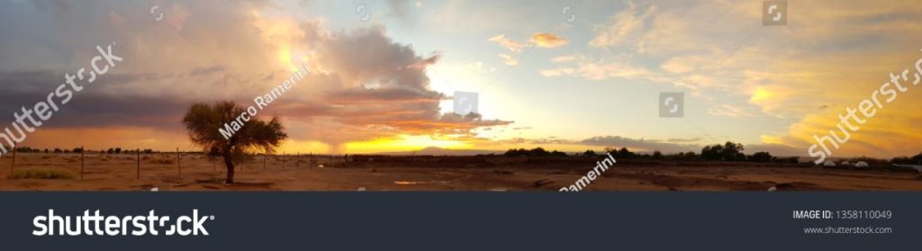 Sunset with lonely tree and storm forming in the distance in the arid lands of the Atacama desert, Chile. Author and Copyright Marco Ramerini.