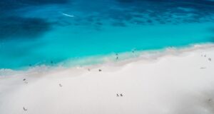Eagle Beach, Aruba. Photo Aruba Tourism Authority.