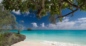 Luengoni, Lifou, New Caledonia. © P. Dancel NCTPS